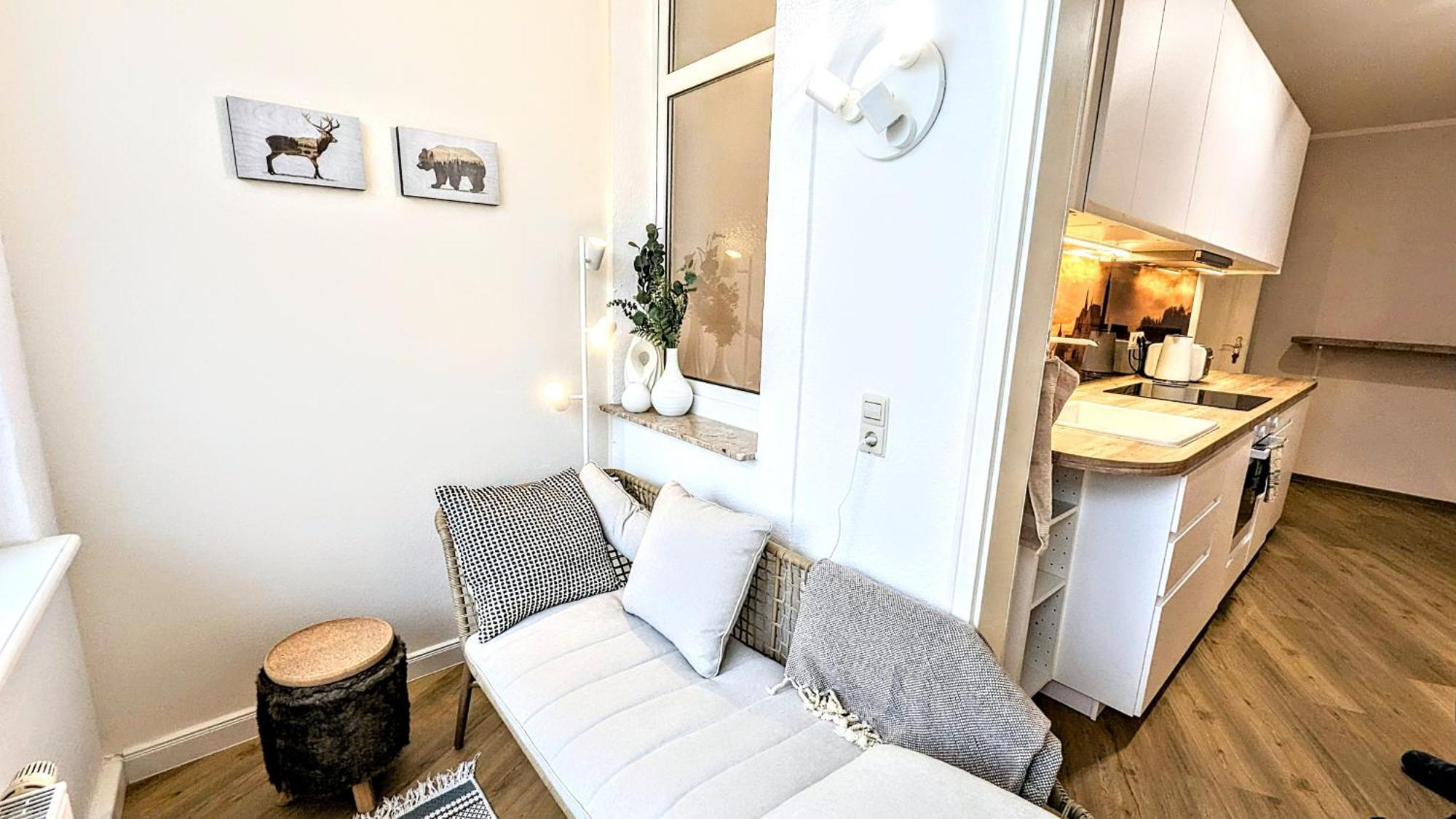 Meissen Apartments - Moderne Ferienwohnungen In Meissen Am Lutherplatz Kültér fotó